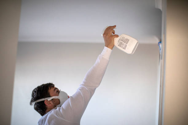 Best Office Mold Removal Services  in Arcadia, SC
